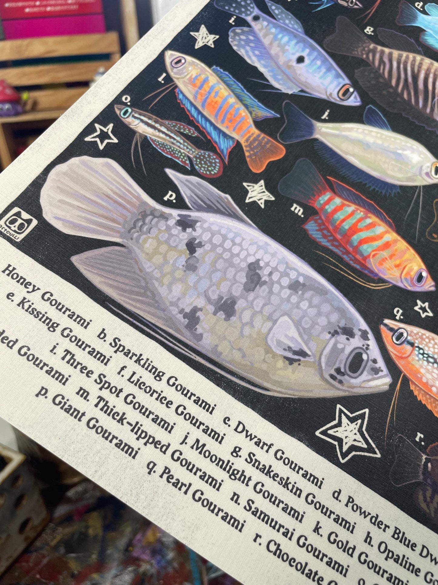 Gourami Poster 8.5x11