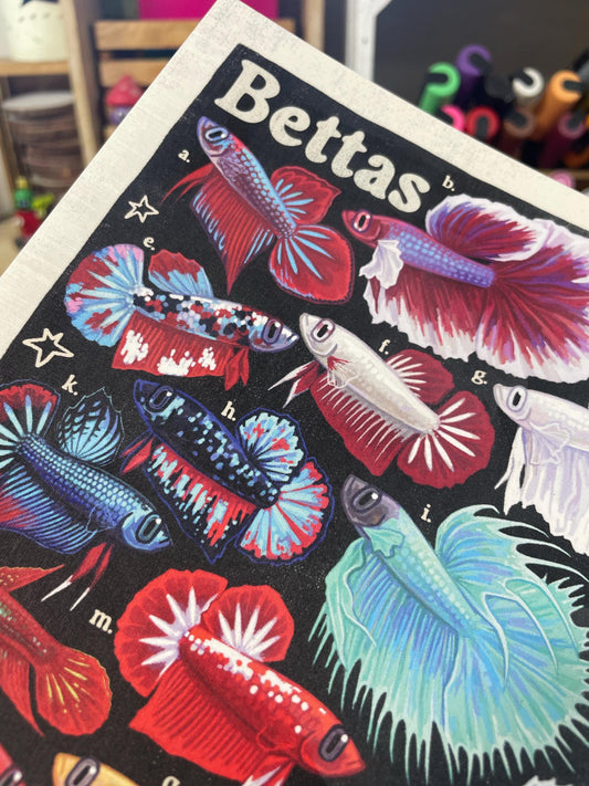 Betta Poster 8.5x11