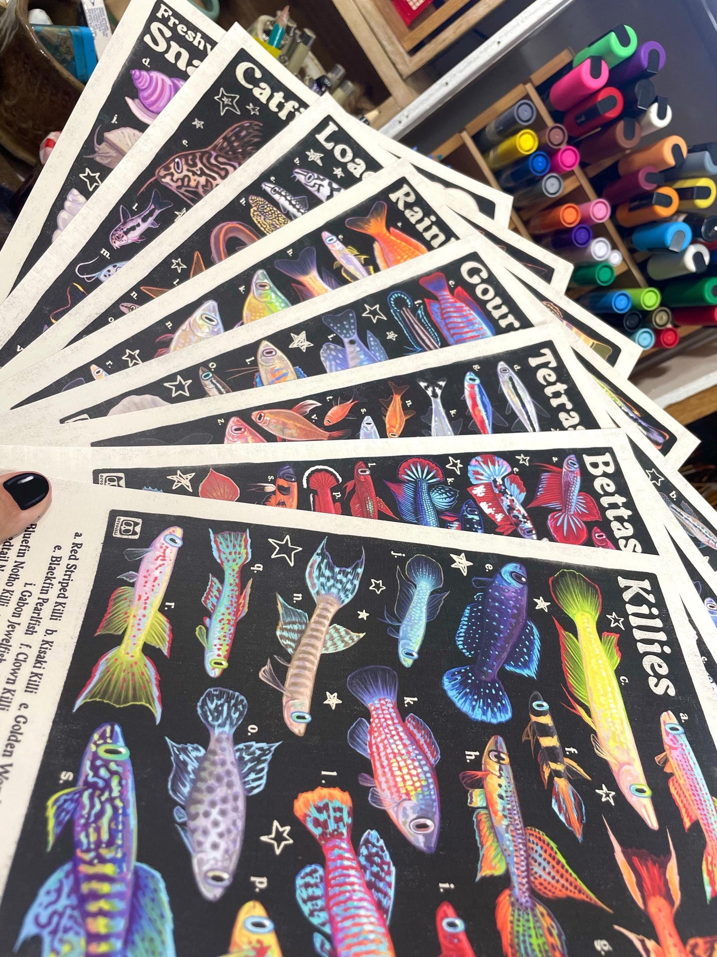 Rainbowfish Poster 8.5x11