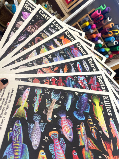 Rainbowfish Poster 8.5x11