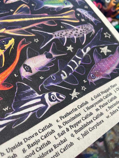 Catfish Poster 8.5x11