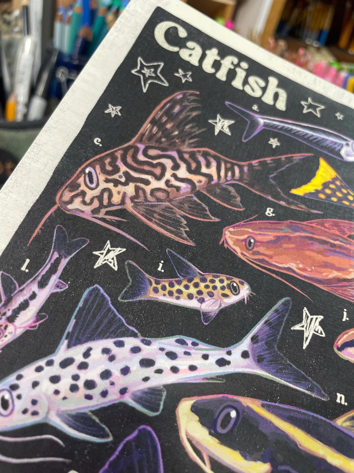 Catfish Poster 8.5x11