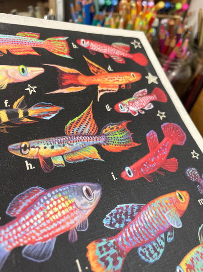 Killifish Poster 8.5x11
