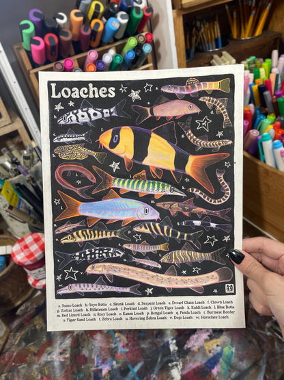 Loach Fish Poster 8.5x11