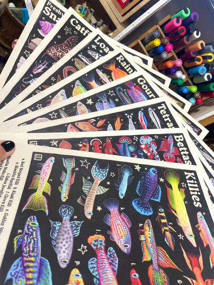 Goldfish Poster 8.5x11