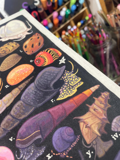 Freshwater Snails Poster 8.5x11