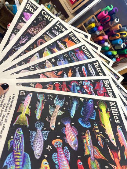 MULTI PACK Aquarium Fish Posters 8.5x11