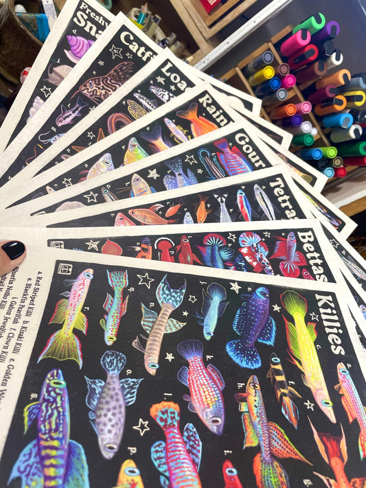 MULTI PACK Aquarium Fish Posters 8.5x11