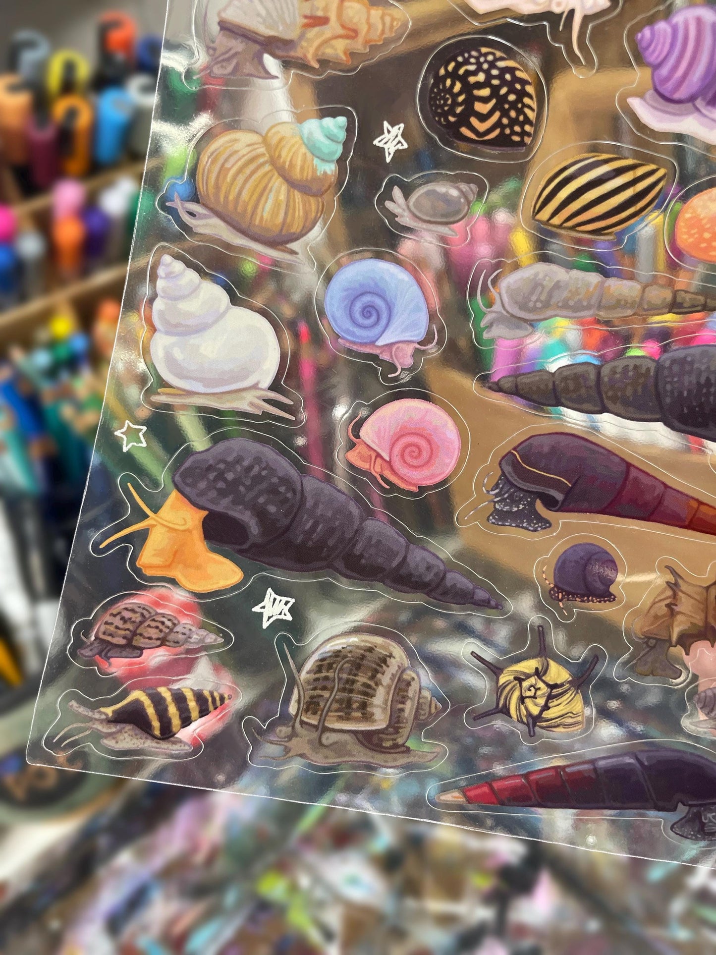 Snail Sticker Sheet