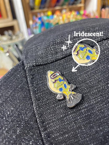 Fish Pins! Pack of 6