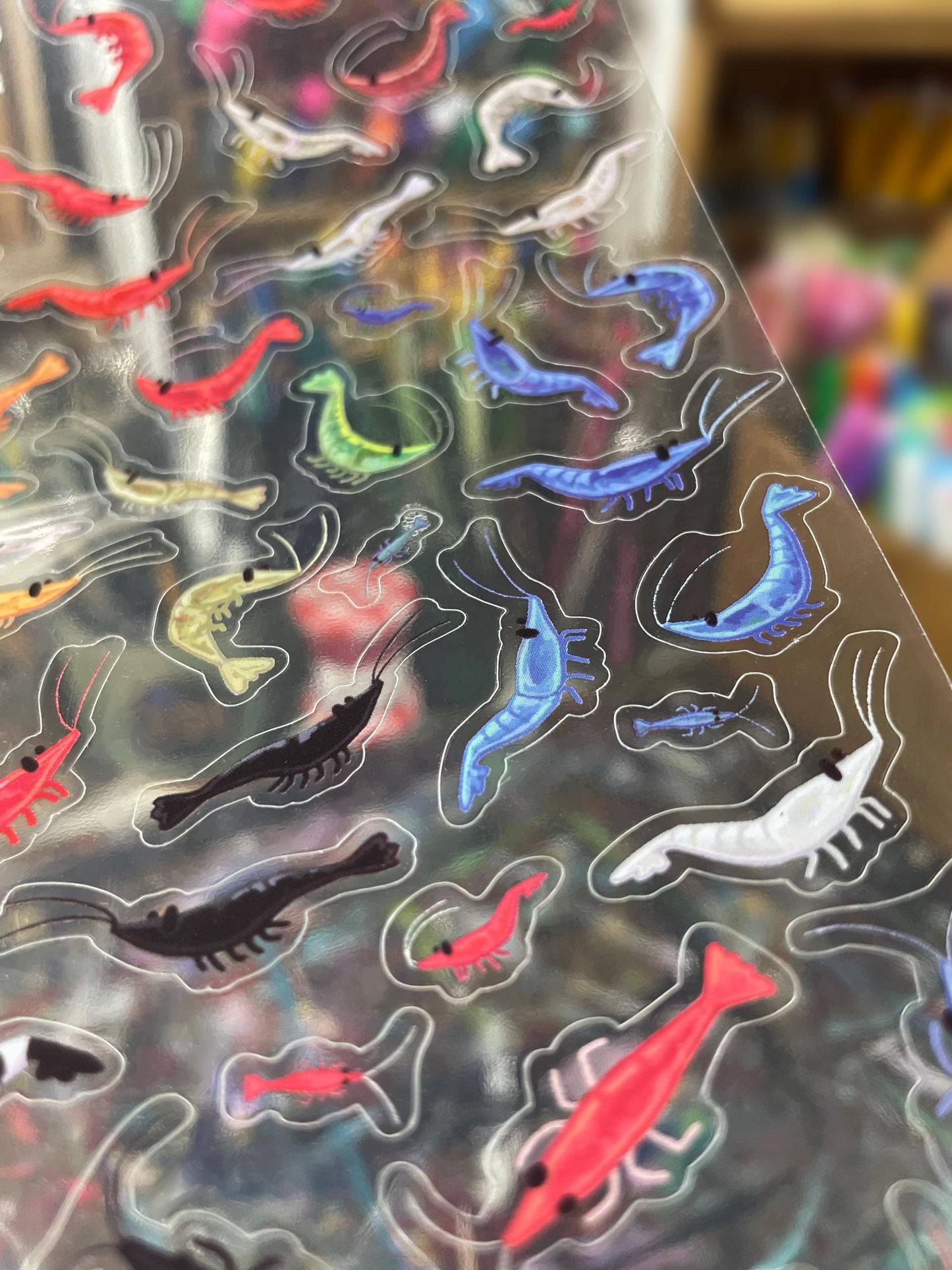 Shrimp Sticker Sheet