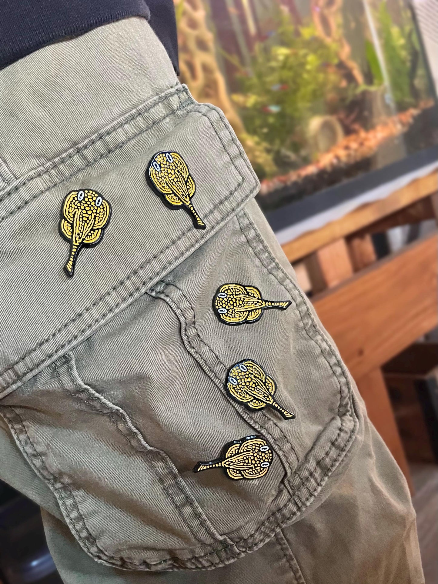 Hillstream Loach Pin