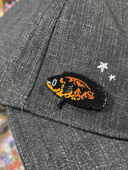 Fish Pins! Pack of 6