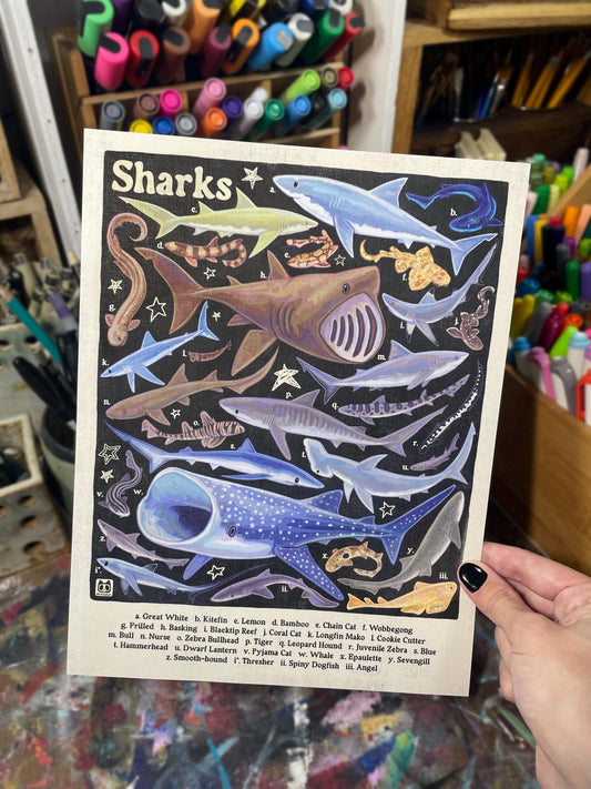 Shark Poster 8.5x11