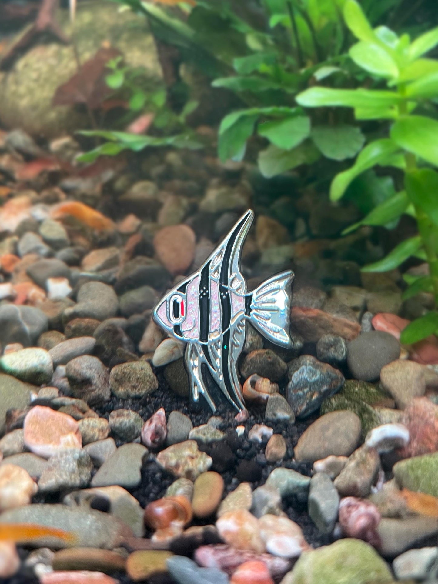 Angelfish Pin