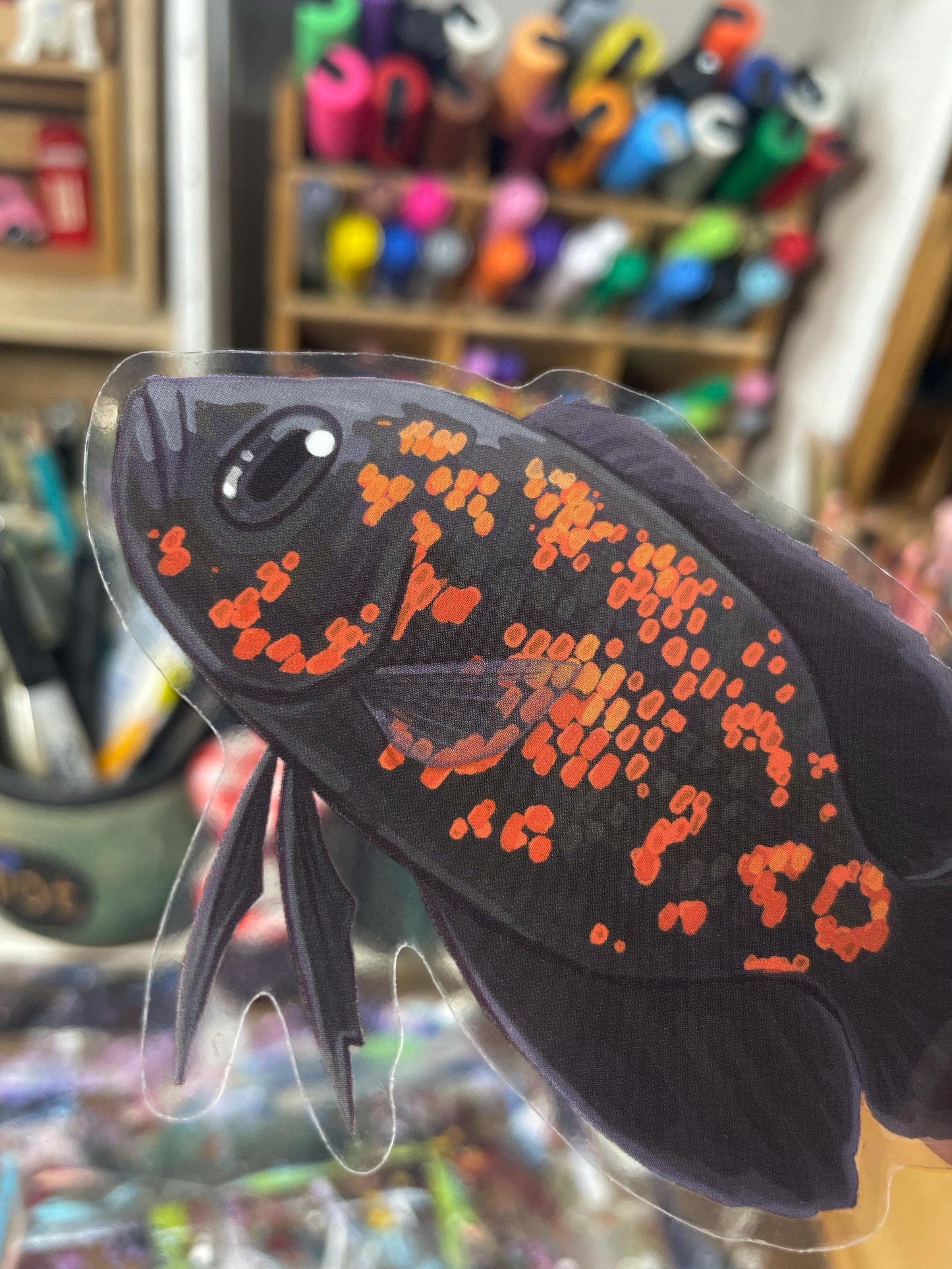 Clear Oscar Cichlid Sticker