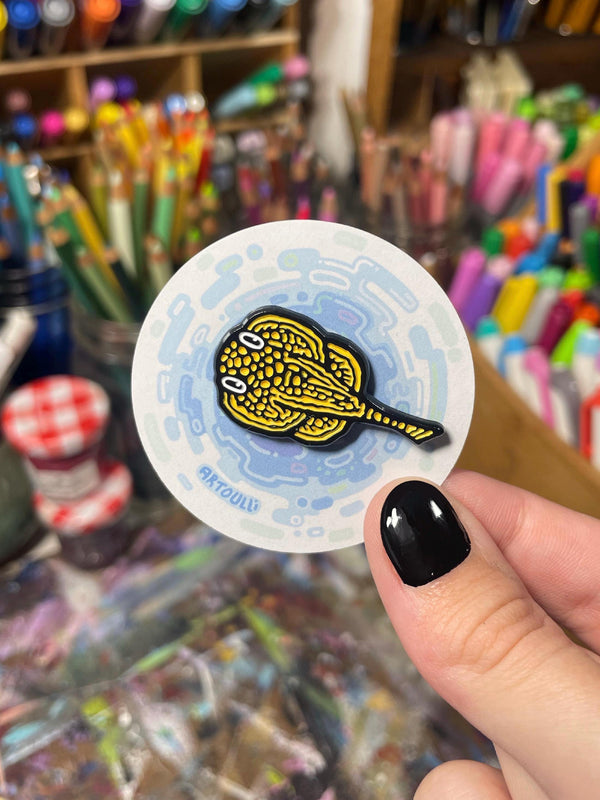 Hillstream Loach Pin