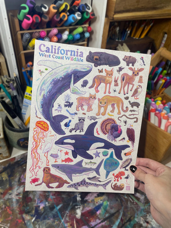 California Wildlife Poster 8.5x11