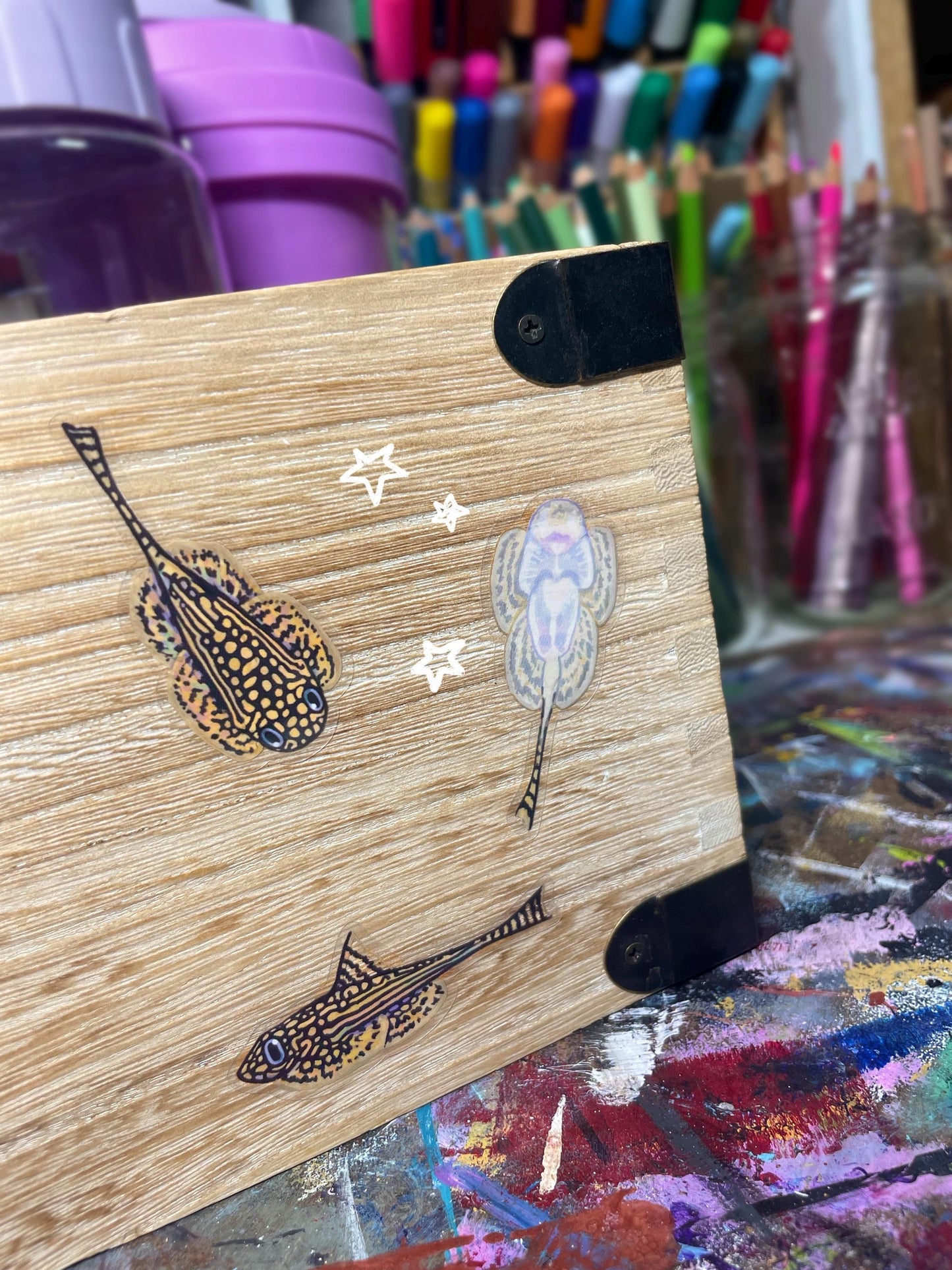 3 Clear Hillstream Loach Stickers