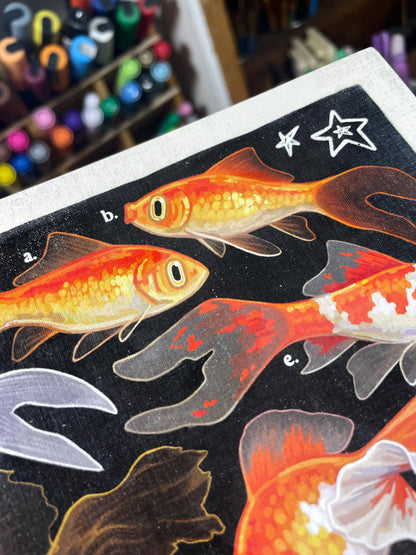 Goldfish Poster 8.5x11