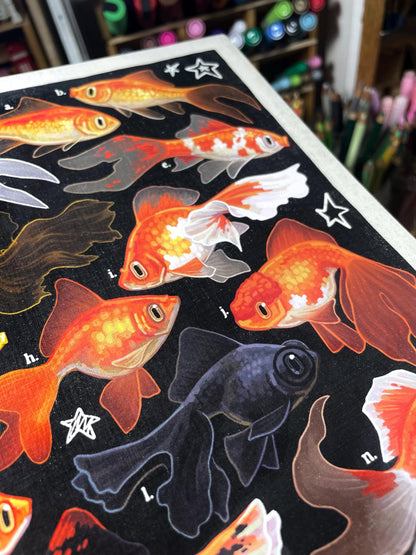 Goldfish Poster 8.5x11