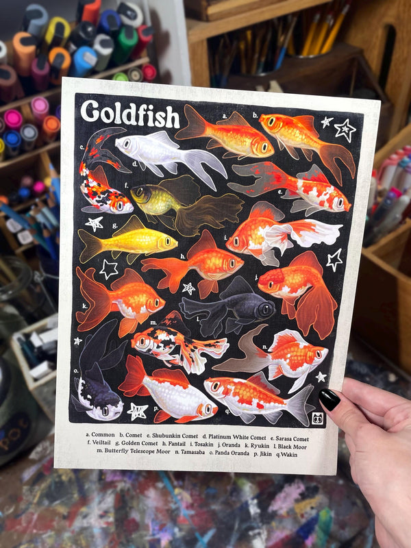 Goldfish Poster 8.5x11
