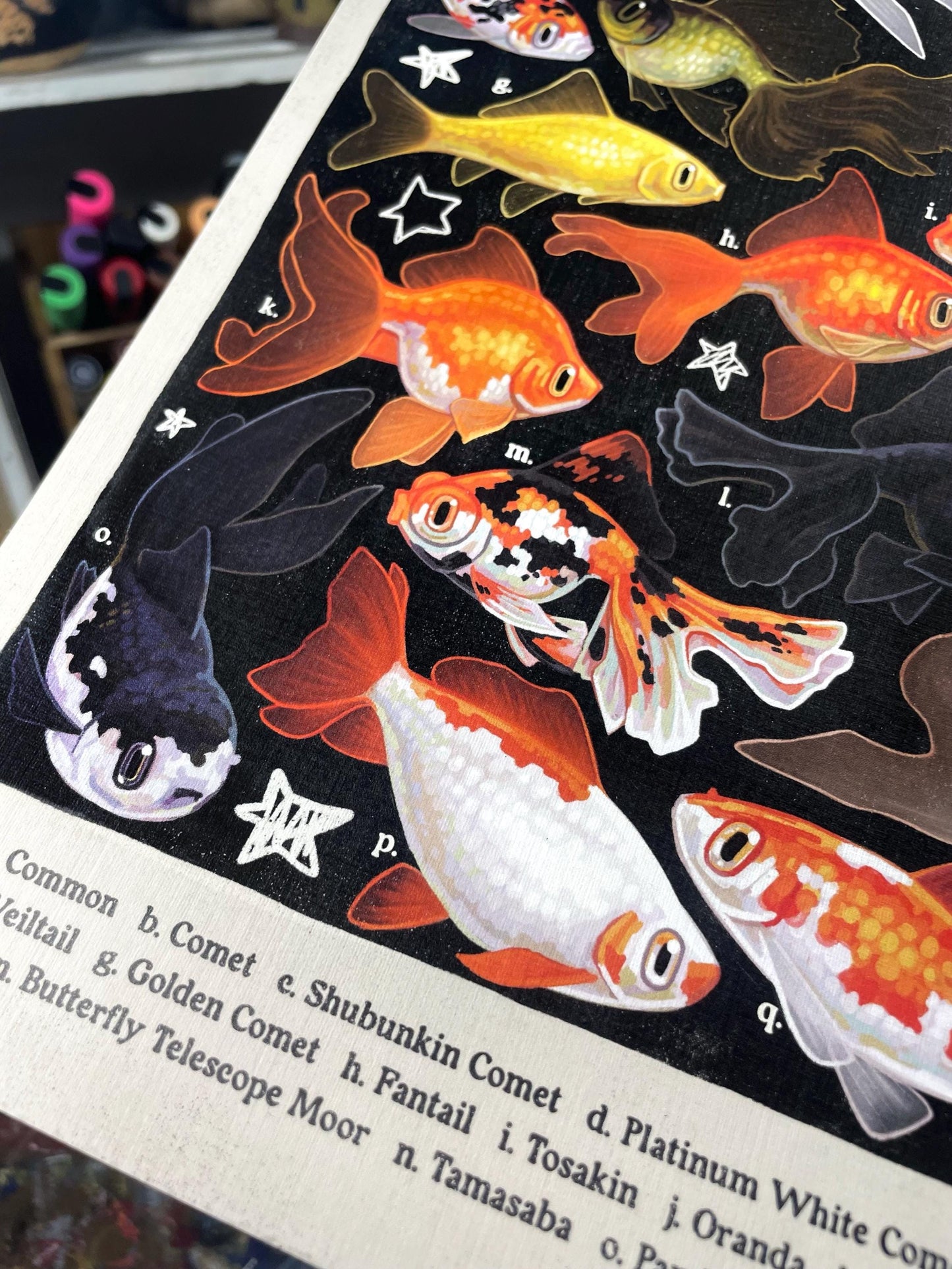 Goldfish Poster 8.5x11