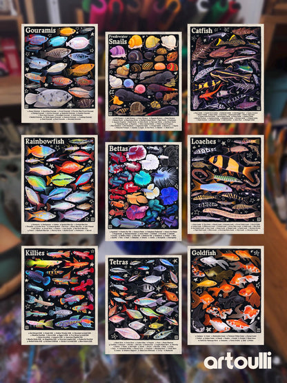 Cichlid Poster 8.5x11