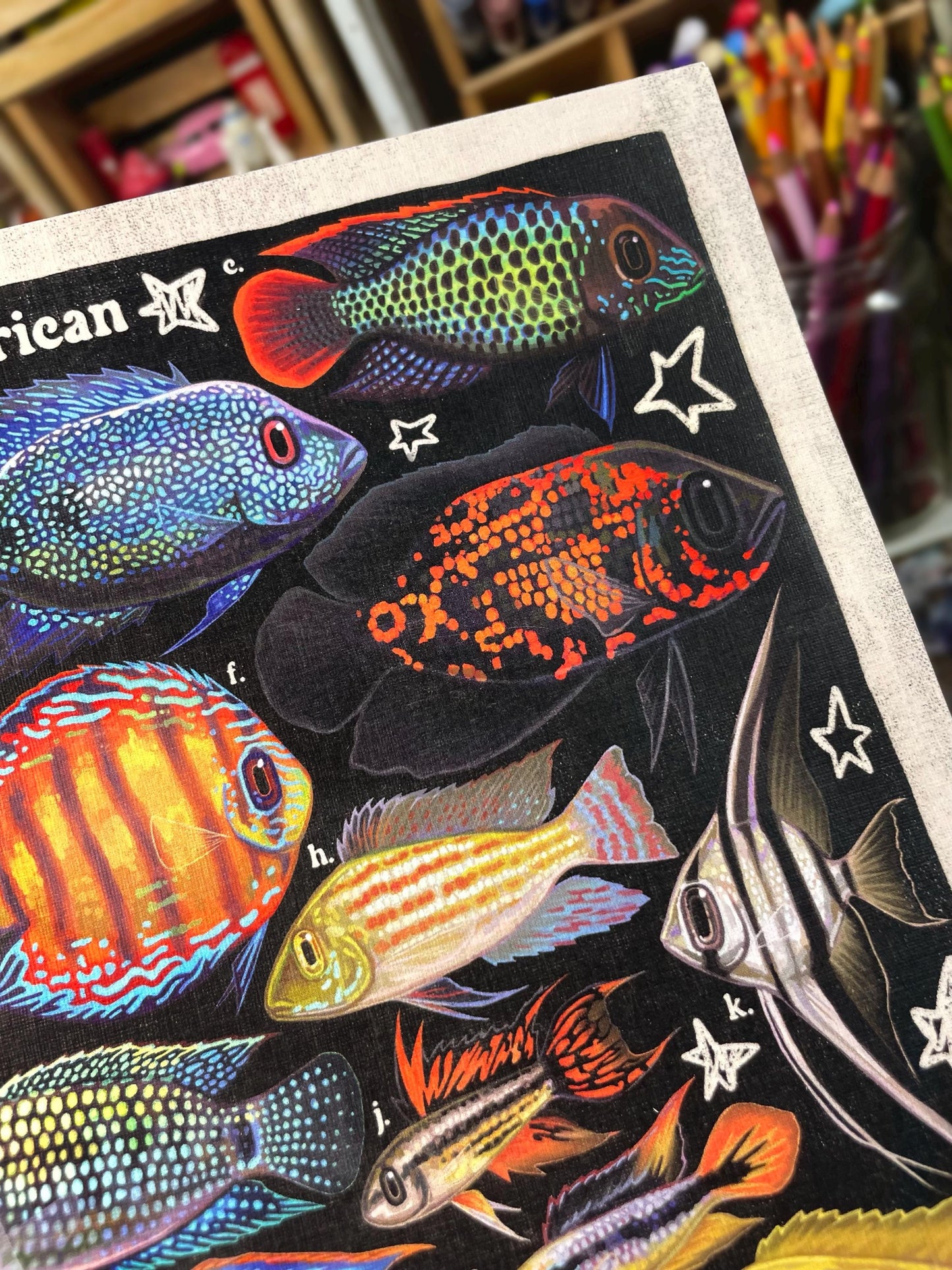 Cichlid Poster 8.5x11