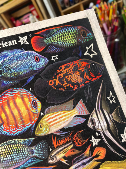 Cichlid Poster 8.5x11