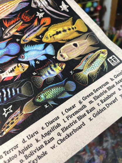 Cichlid Poster 8.5x11