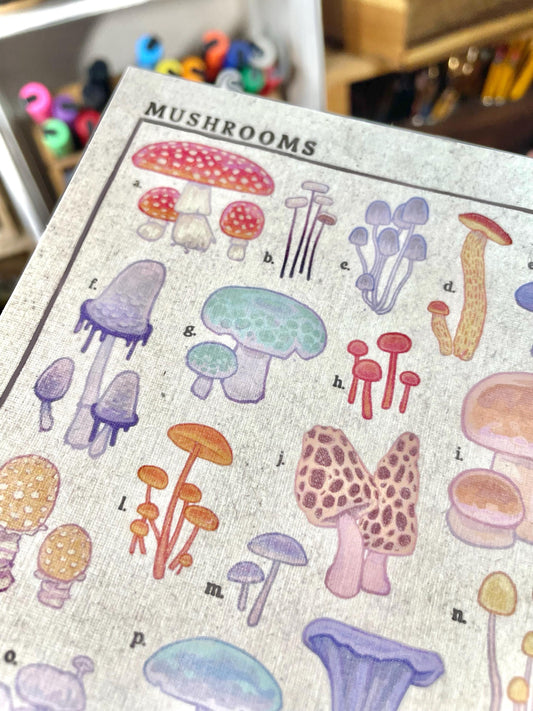 Mushroom Identification Guide