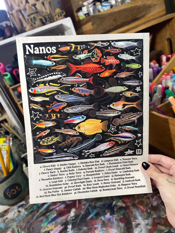Nano Fish Poster 8.5x11