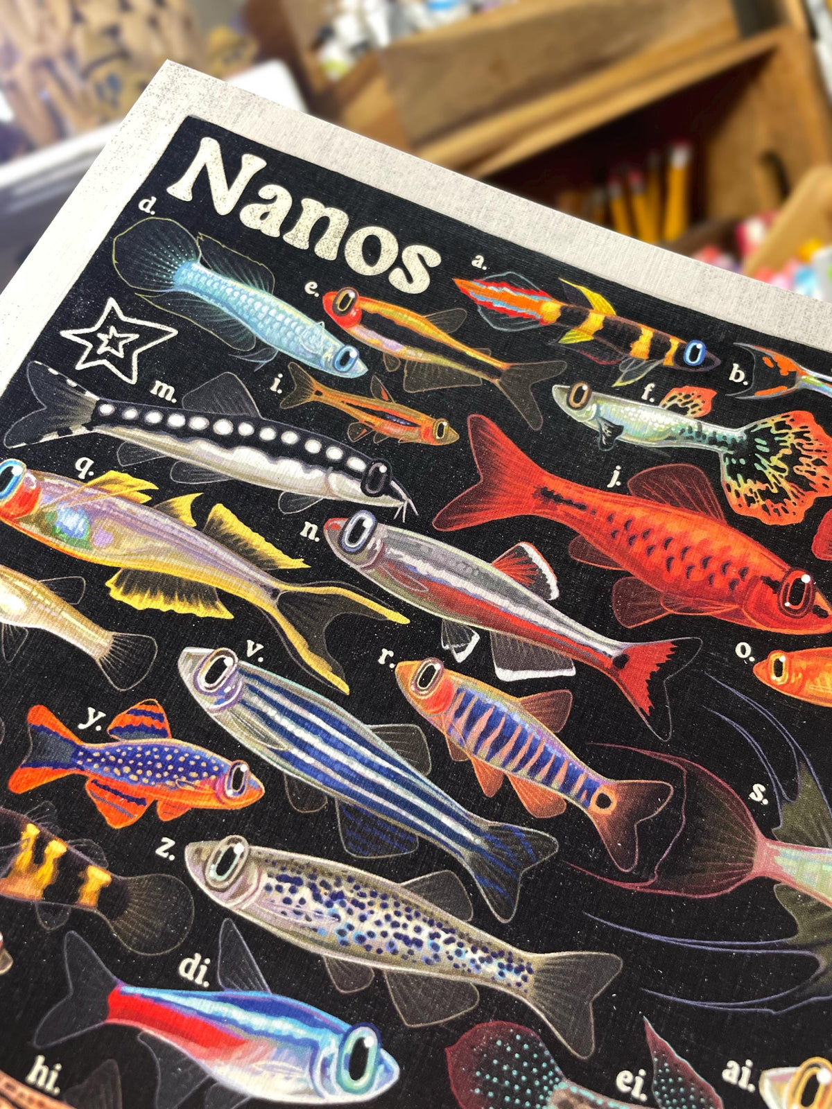 Nano Fish Poster 8.5x11