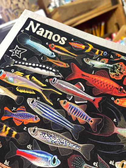 Nano Fish Poster 8.5x11