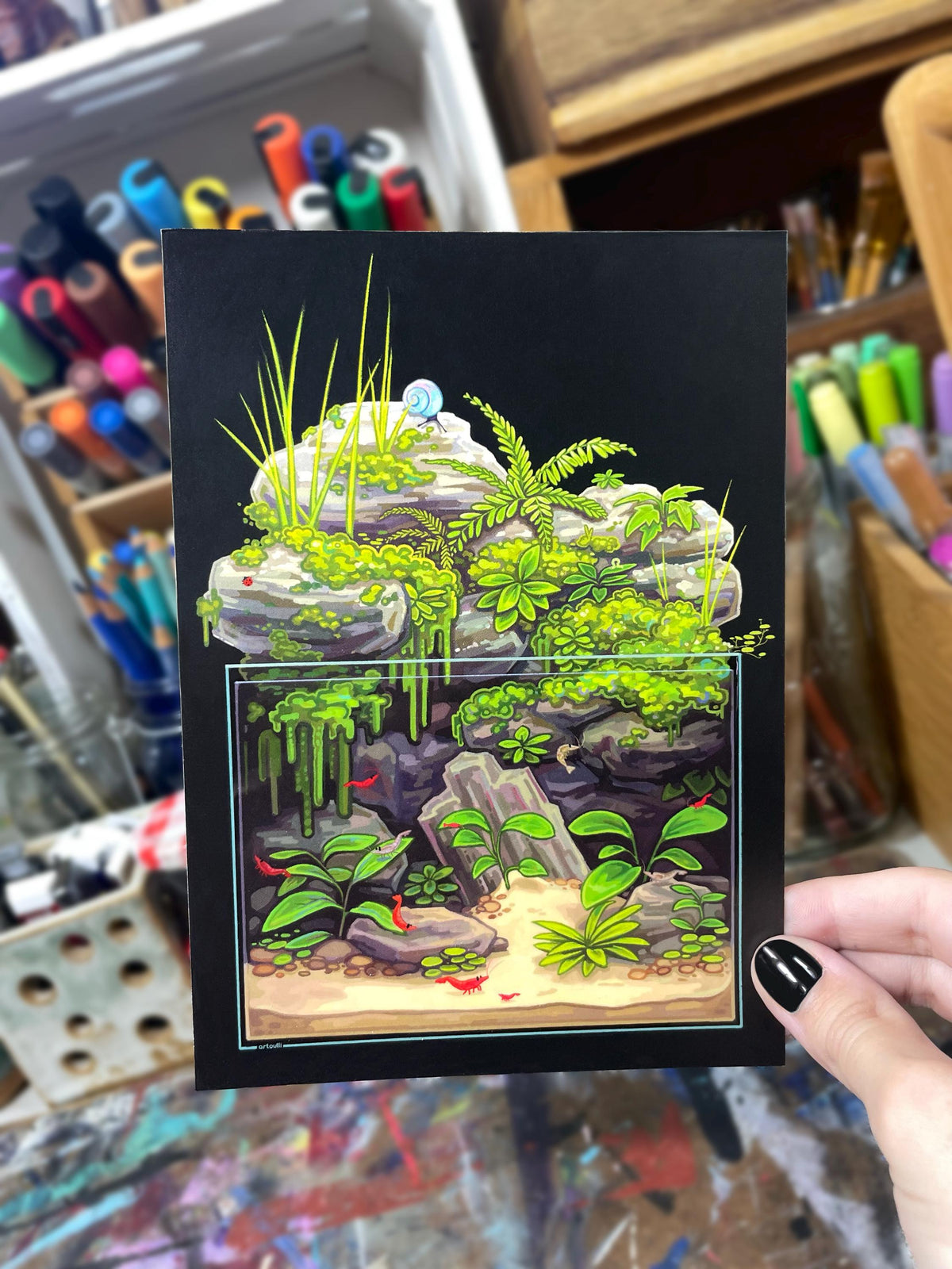 Aquarium Postcards Set of 5