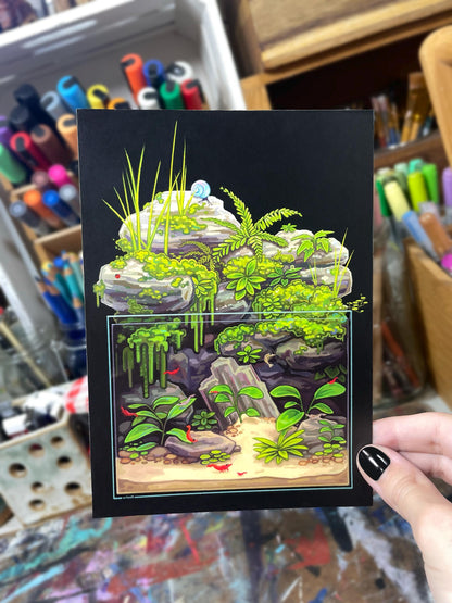 Aquarium Postcards Set of 5