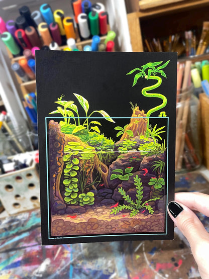 Aquarium Postcards Set of 5