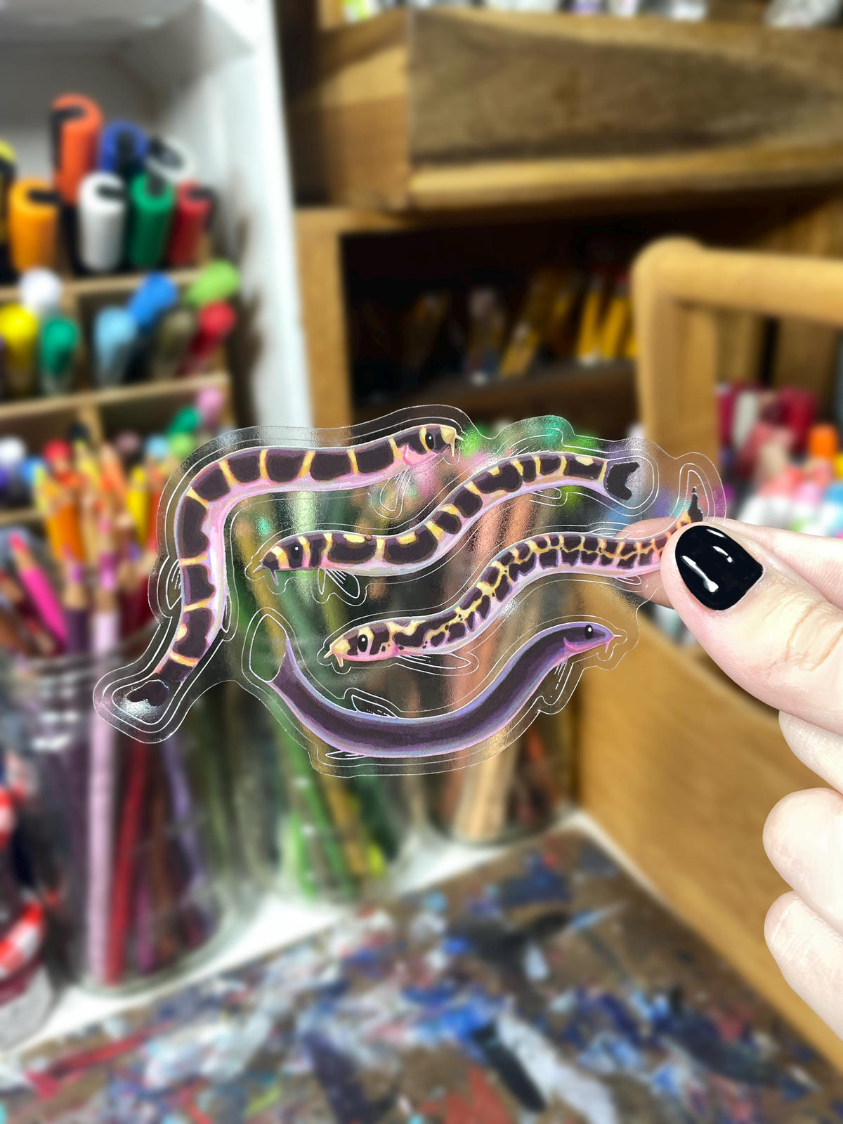4 Clear Kuhli Loach Stickers