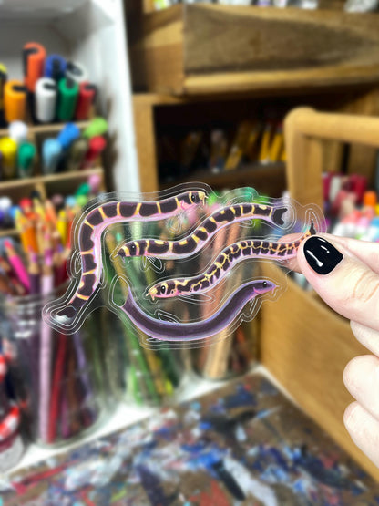4 Clear Kuhli Loach Stickers