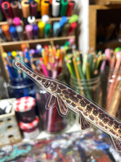 Clear Spotted Gar Sticker
