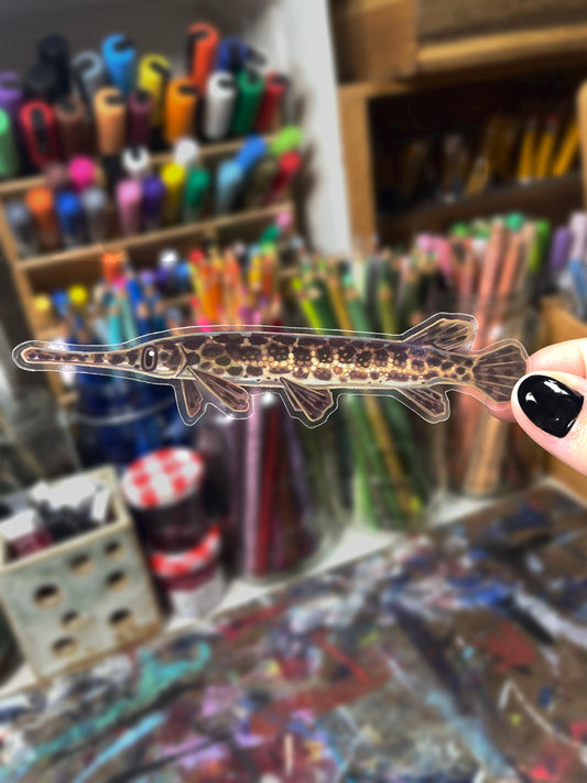 Clear Spotted Gar Sticker