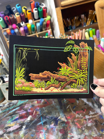 Aquarium Postcards Set of 5