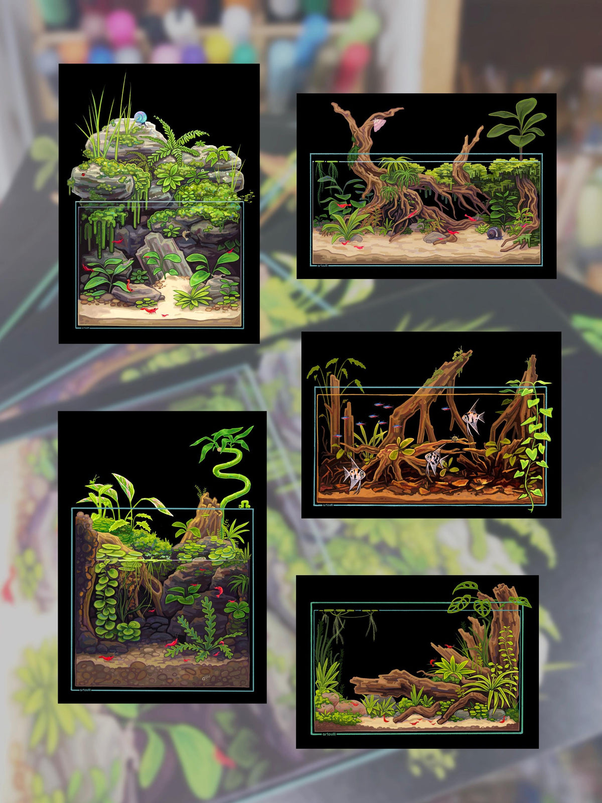 Aquarium Postcards Set of 5