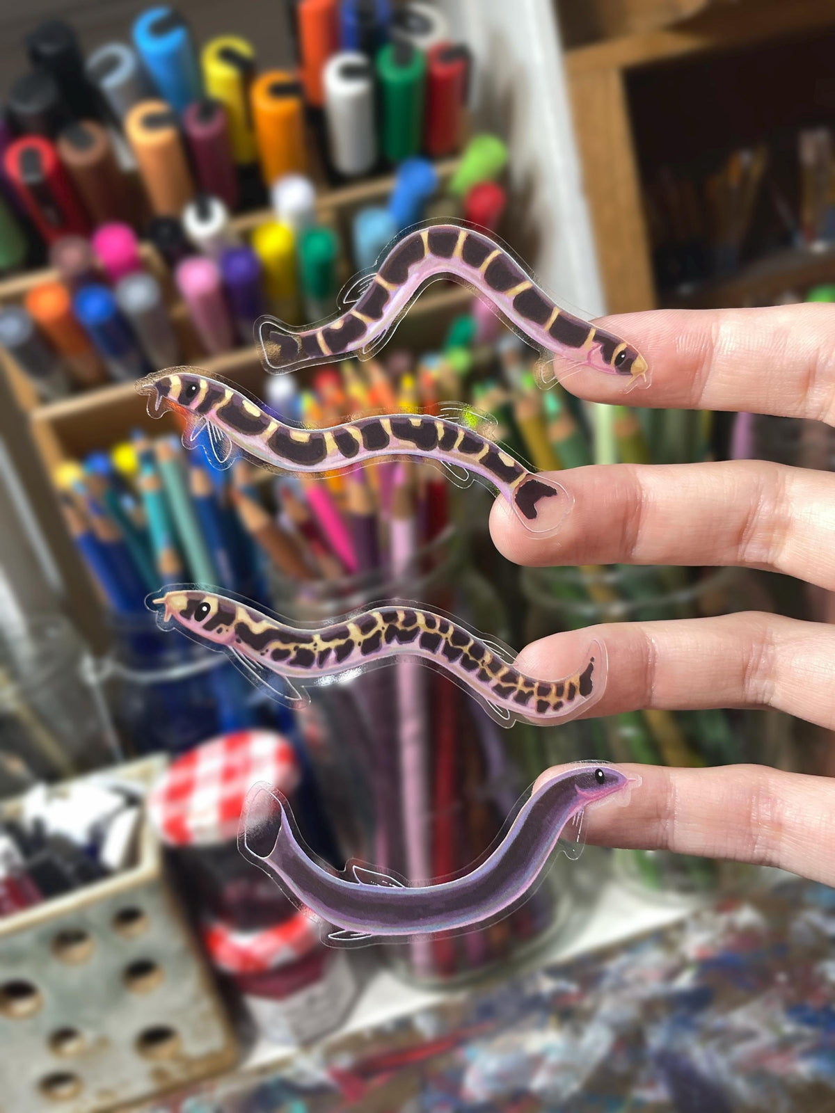 4 Clear Kuhli Loach Stickers